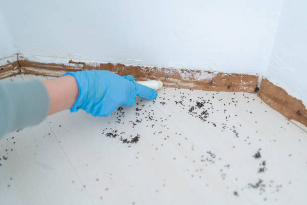 Best Pest Inspection Near Me  in Mukwonago, WI