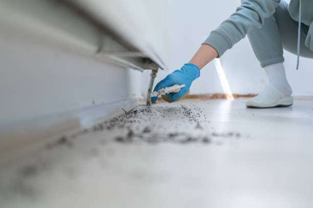 Best Local Pest Control Services  in Mukwonago, WI